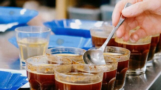 falcon coffees (1)