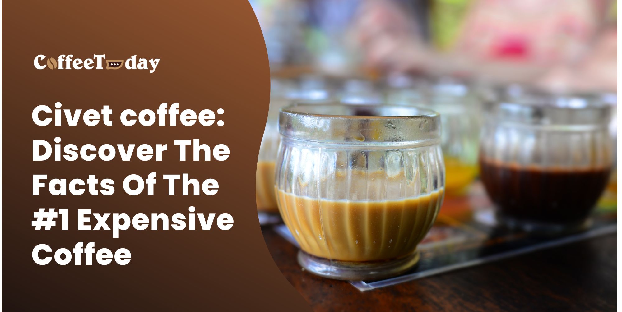 civet coffee