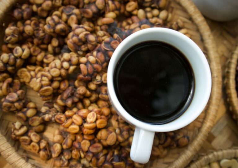 Civet Coffee: Discover The Facts Of The #1 Expensive Coffee 11 Civet Coffee