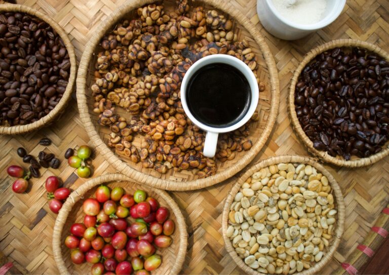 Civet Coffee: Discover The Facts Of The #1 Expensive Coffee 13 Civet Coffee
